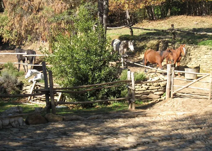 Lodge Centro Trekking A Cavallo Monte Brugiana